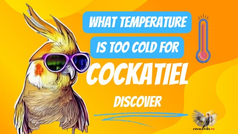 Discover What Temperature is Too Cold for Cockatiels: Crucial Tips for Owners!