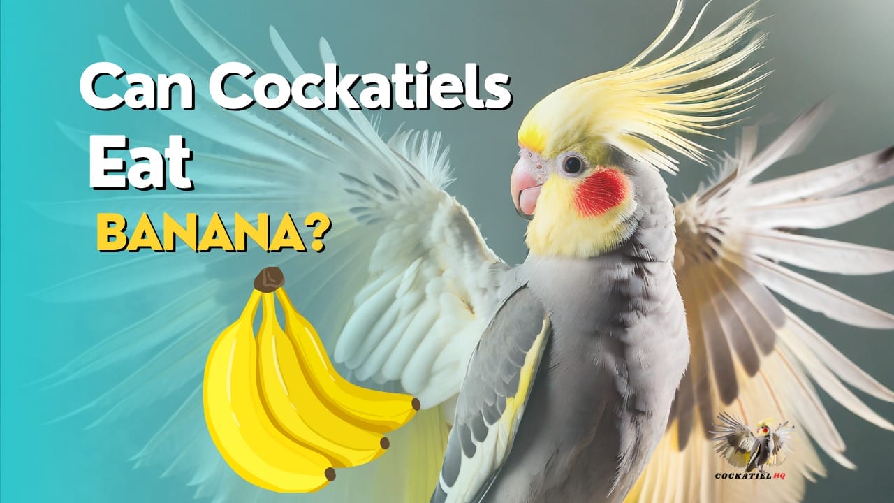 Can Cockatiels Eat Peanut Butter? Discover the Surprising Answer!