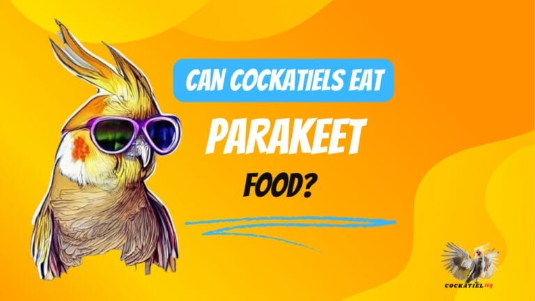 Shocking Truth: Can Cockatiels Eat Parakeet Food?