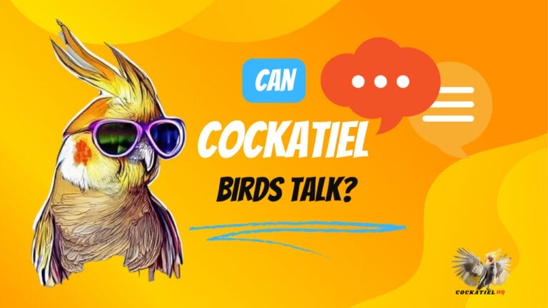 Can Cockatiel Birds Talk? Unveiling the Secrets of Their Chirpy Language