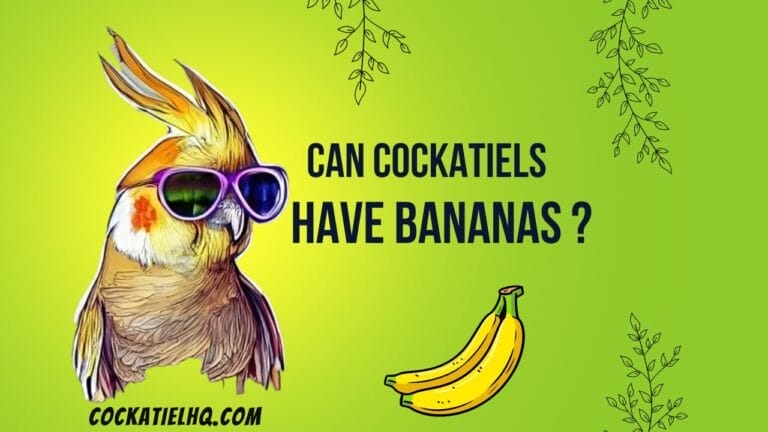 Can Cockatiels Have Bananas? Unveiling the Secrets of Your Pet’s Diet!