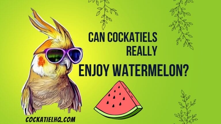 Can Cockatiels Have Watermelon? Discover the Surprising