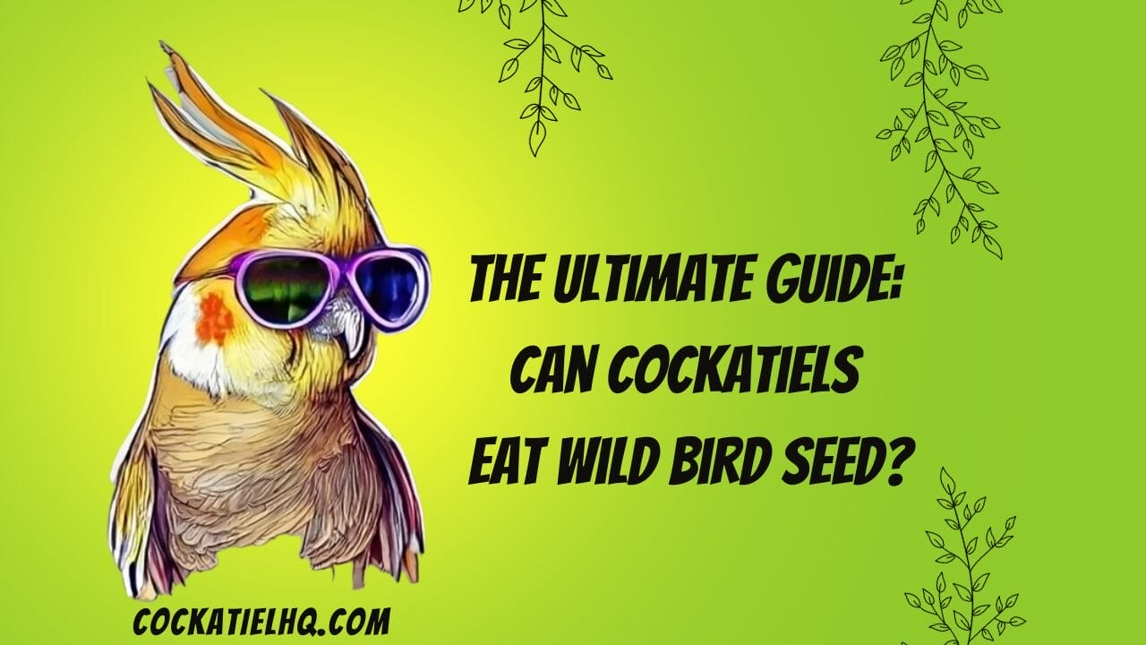 can cockatiels eat wild bird seed