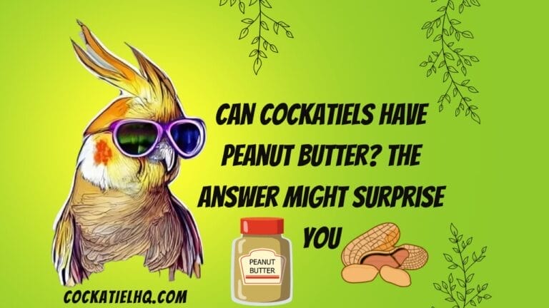 Can Cockatiels Have Peanut Butter? The Answer Might Surprise You