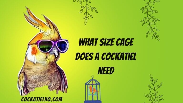 What Size Cage Does a Cockatiel Need? Unlock the Secrets for a Happy Pet!