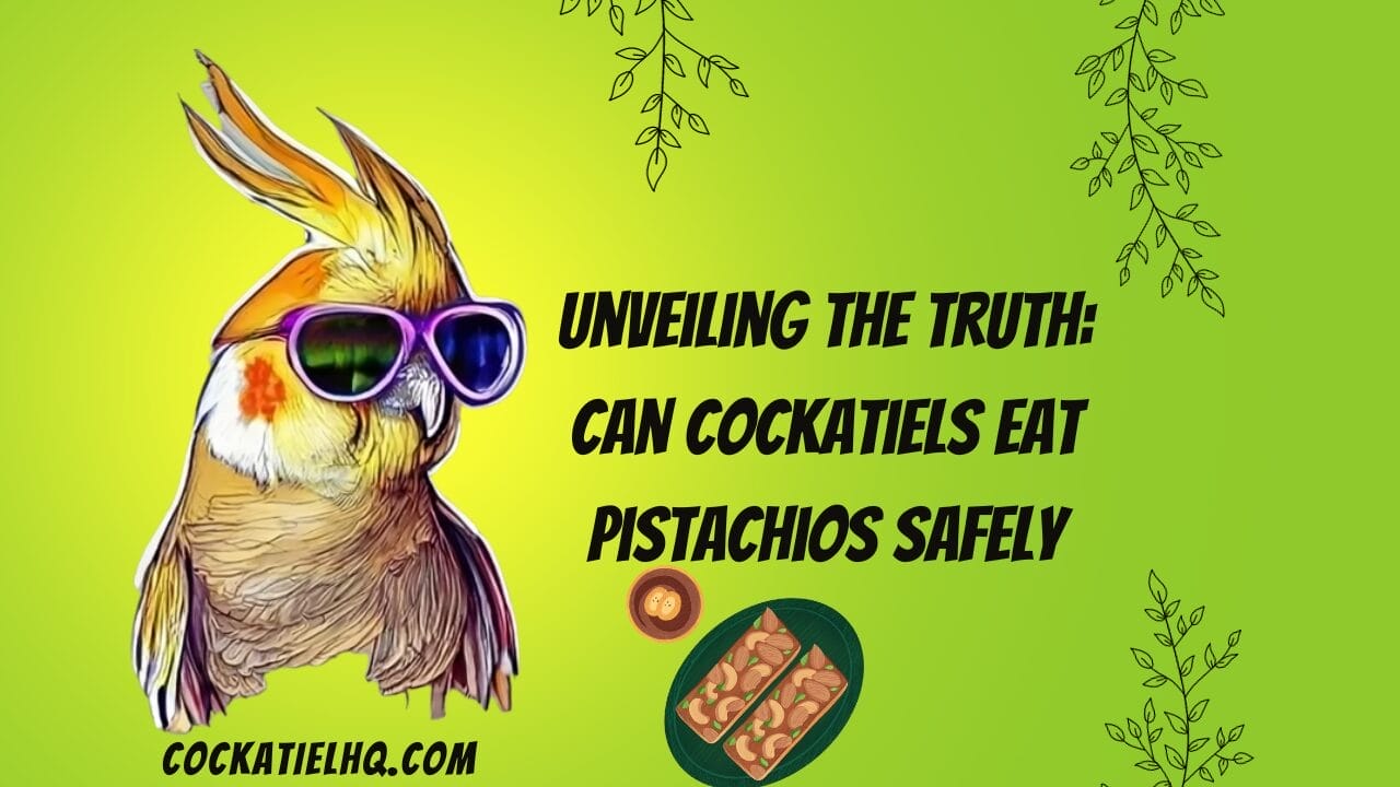 can cockatiels eat pistachios