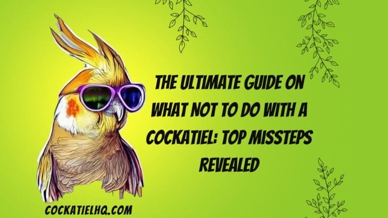 The Ultimate Guide on What Not to Do with A Cockatiel: Top Missteps Revealed