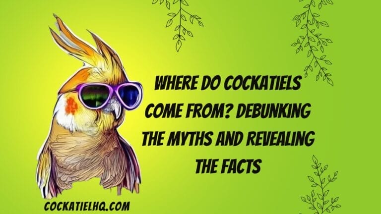 Where Do Cockatiels Come From? Debunking the Myths and Revealing the Facts