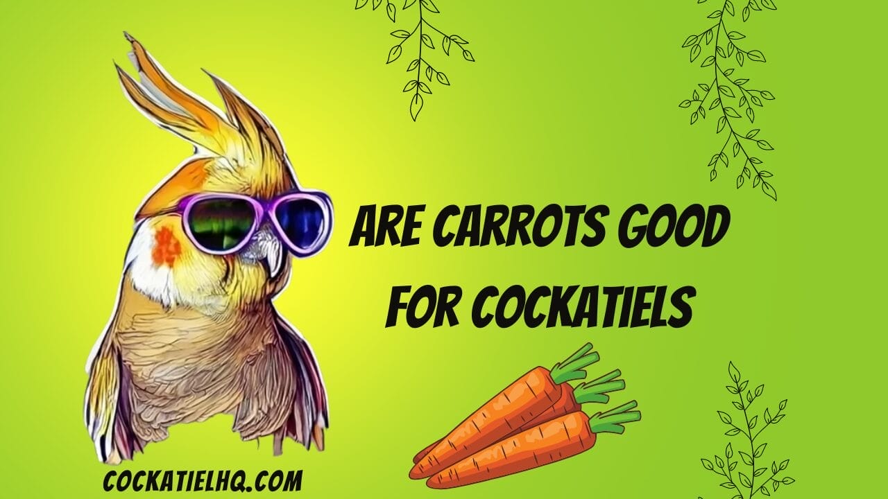 are carrots good for cockatiels
