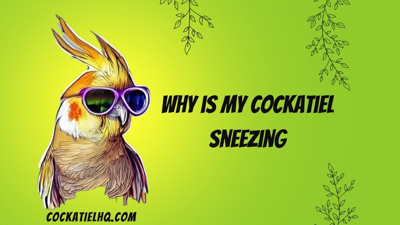 why is my cockatiel sneezing
