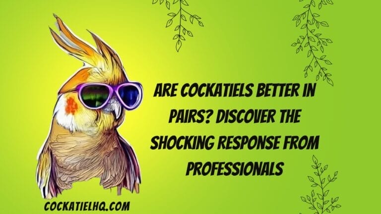 Are Cockatiels Better in Pairs? Discover the Shocking Response from Professionals