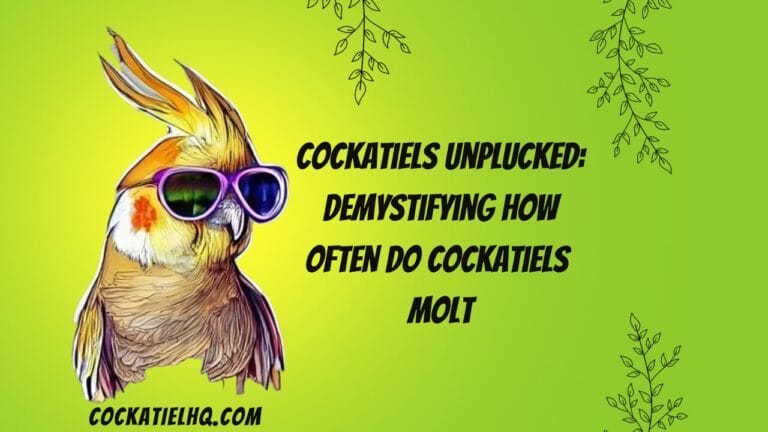 Cockatiels Unplucked: Demystifying How Often Do Cockatiels Molt
