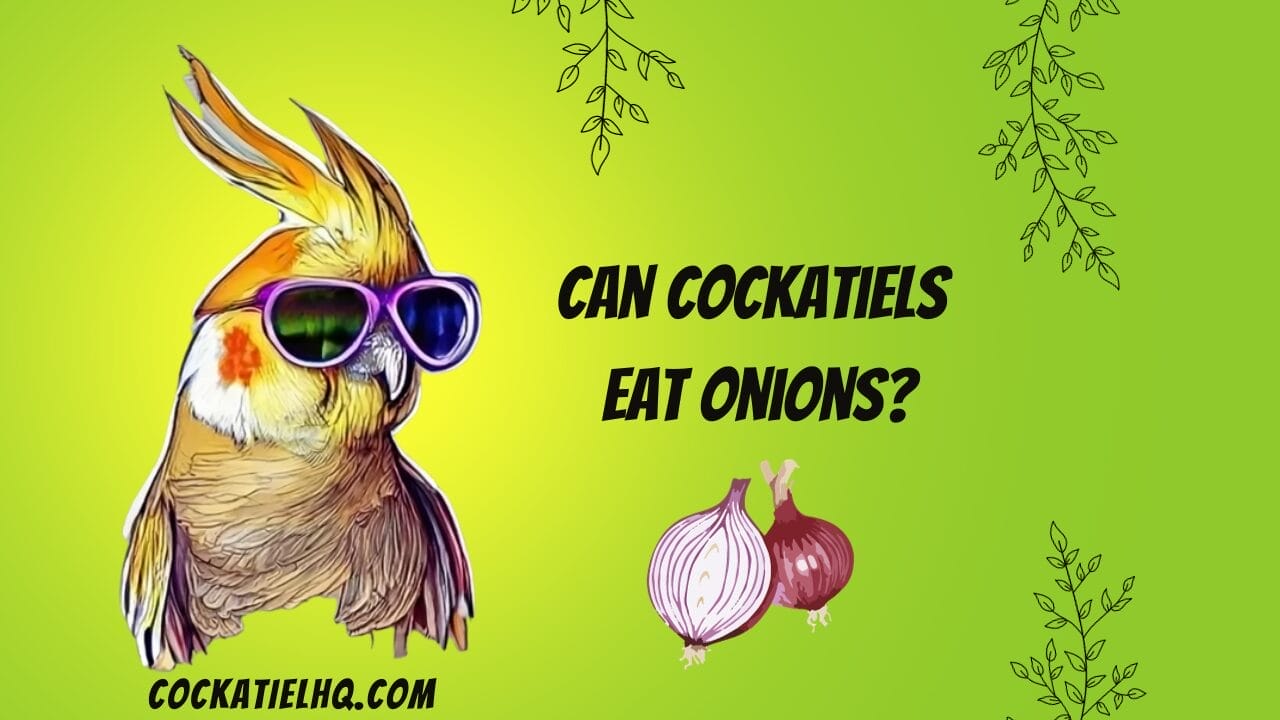 can cockatiels eat onions
