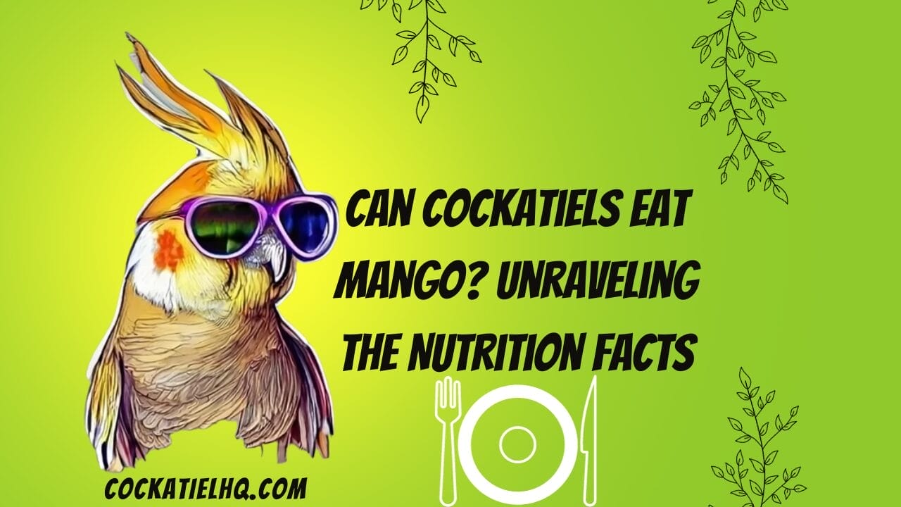 can cockatiels eat mango
