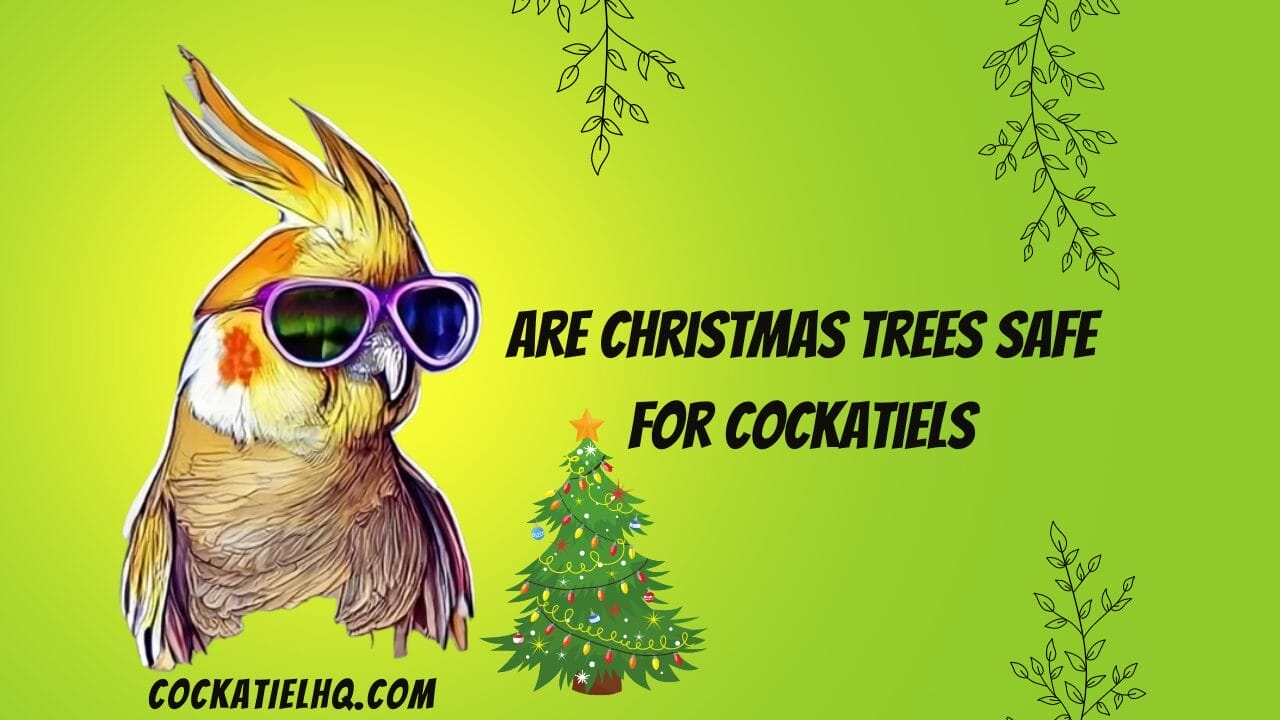 are christmas trees safe for cockatiels