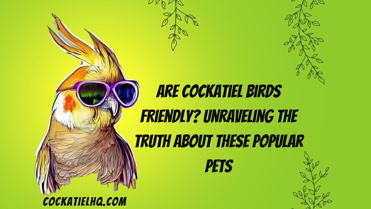 are cockatiel birds friendly