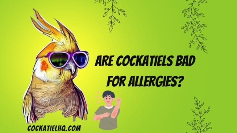 are cockatiels bad for allergies